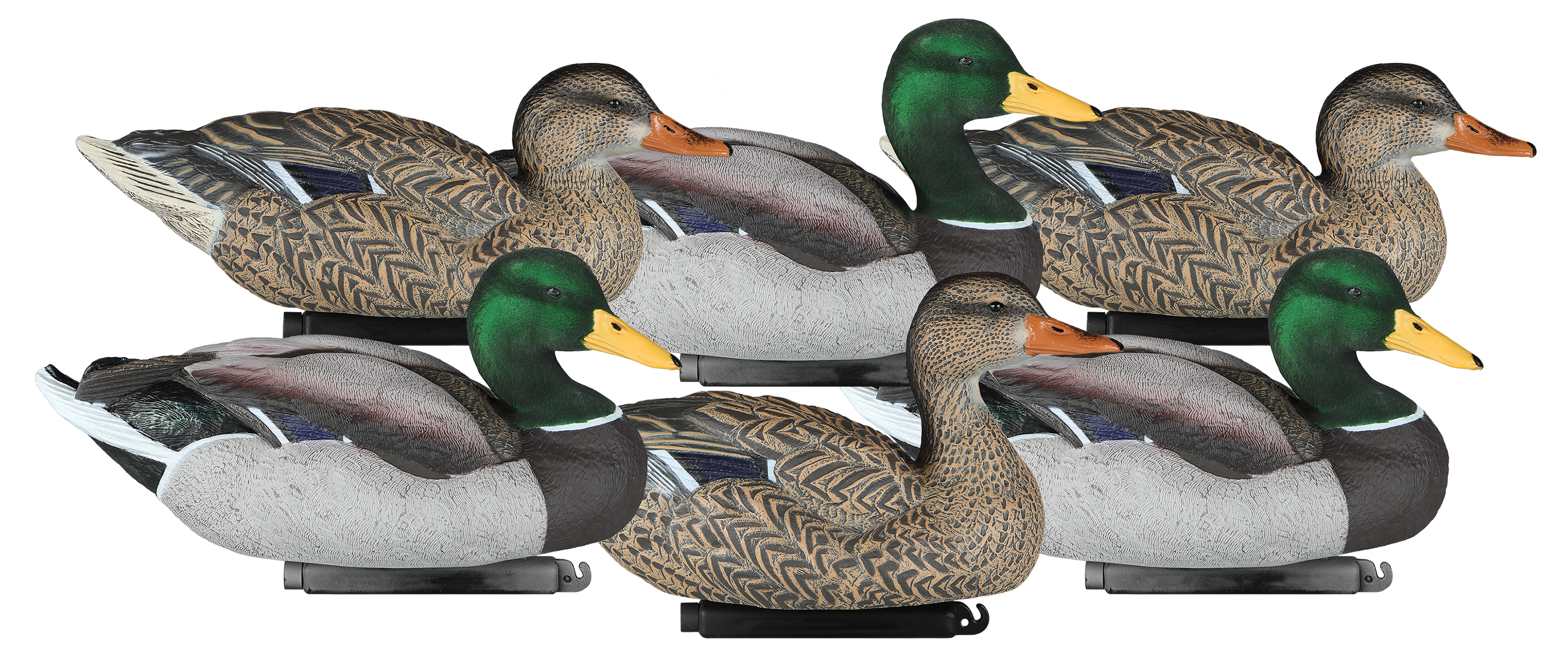 Dakota Decoy XTreme 1Piece Flocked Mallard Duck Decoys Cabela's